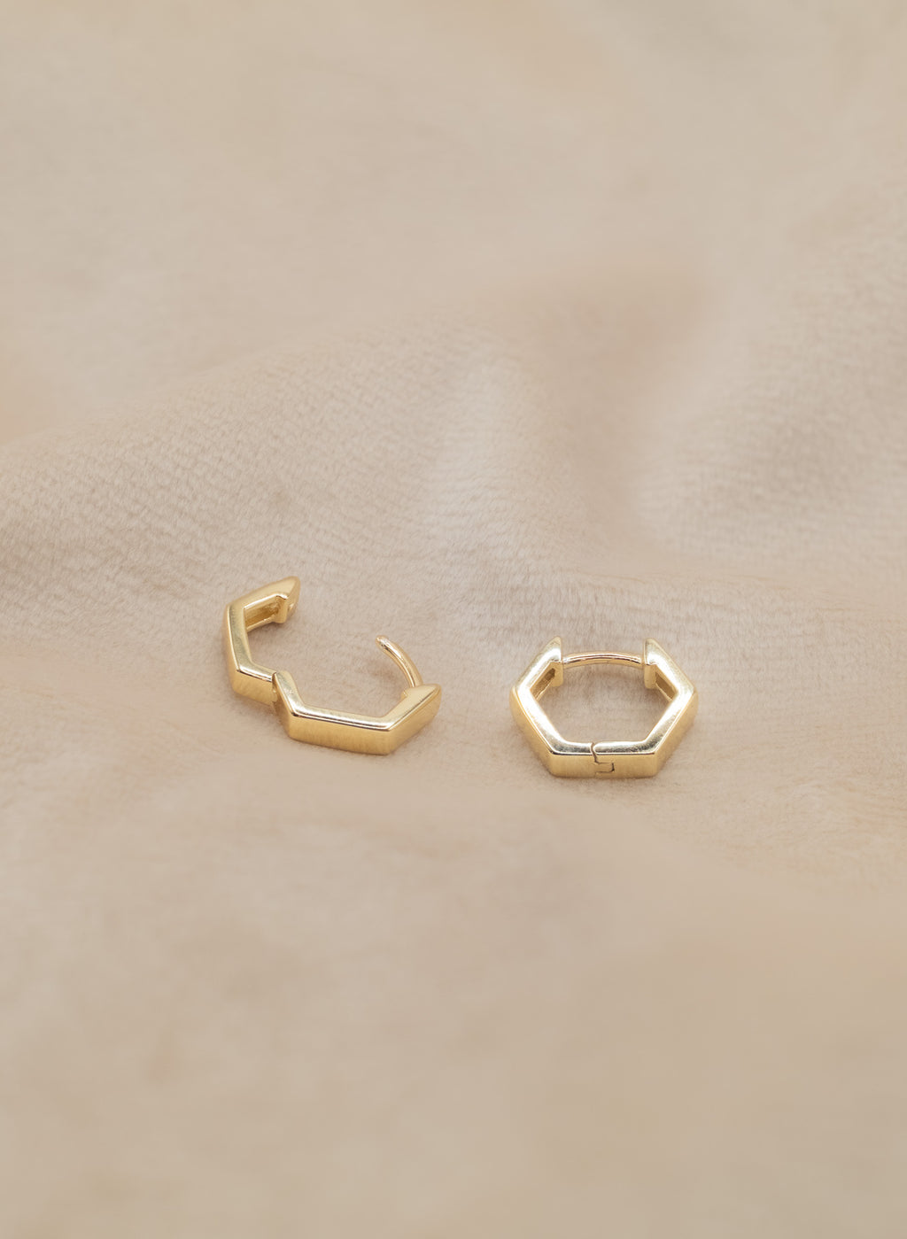 The Golden Hexa Earrings