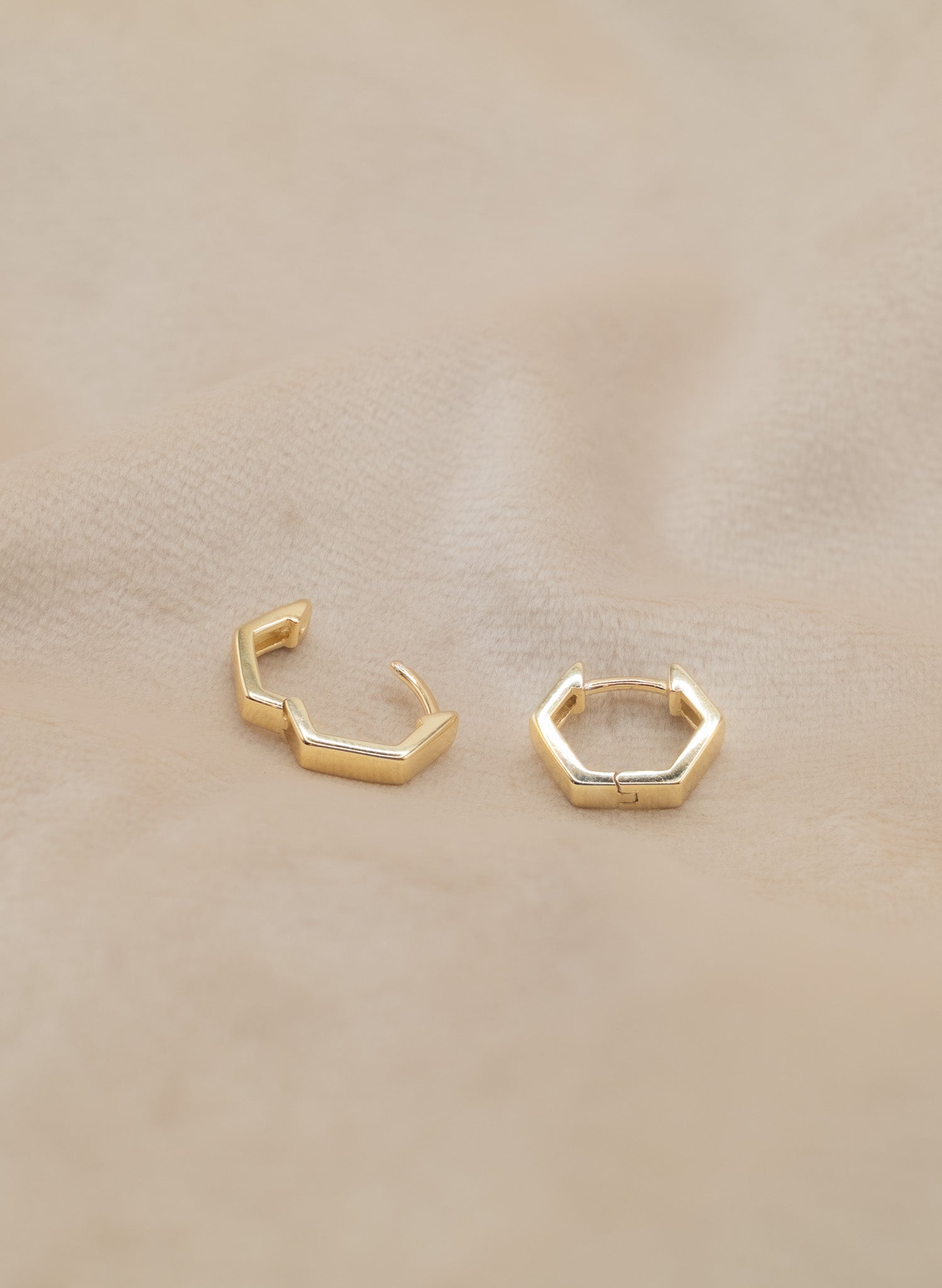 The Golden Hexa Earrings