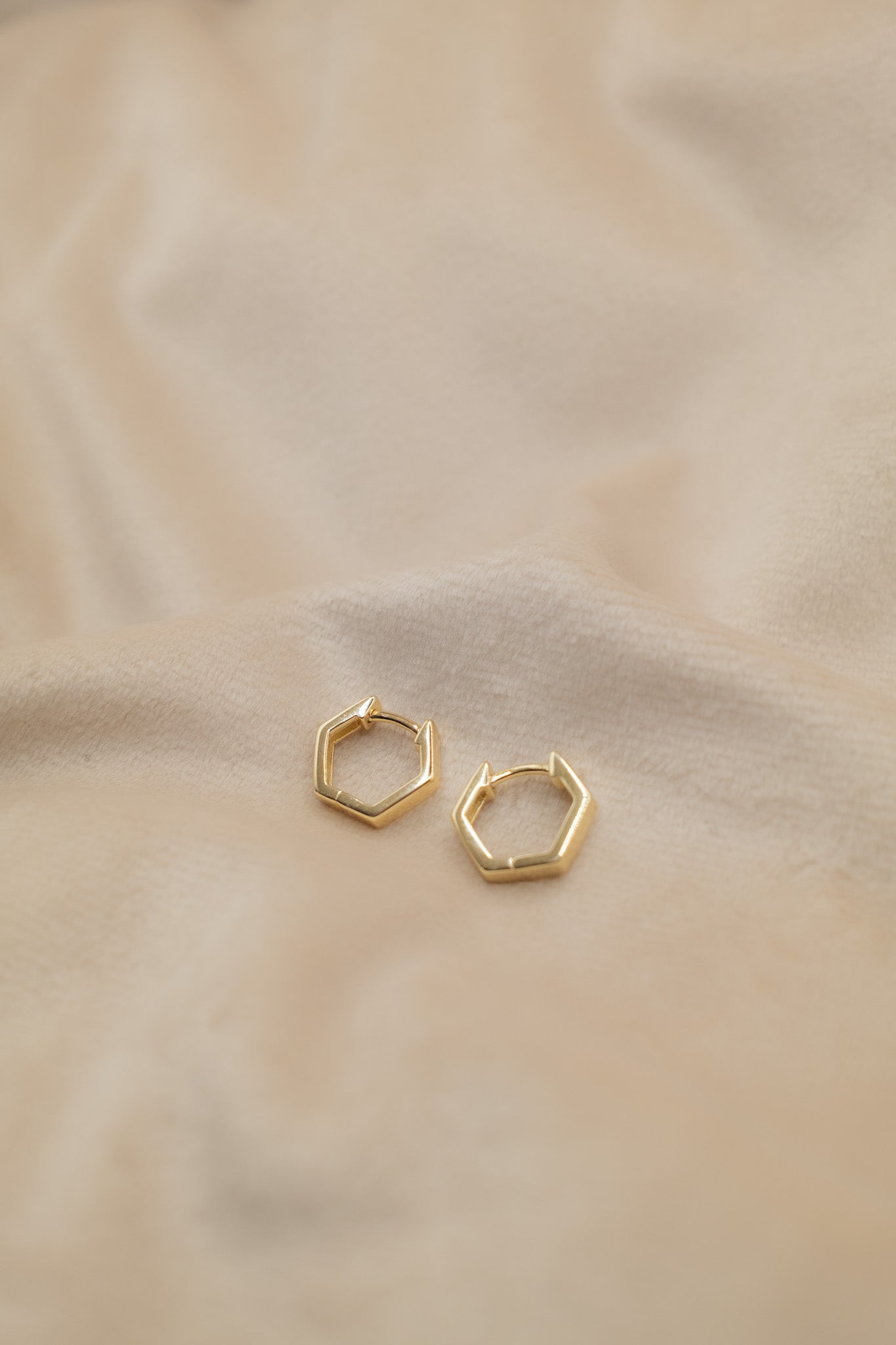 The Golden Hexa Earrings