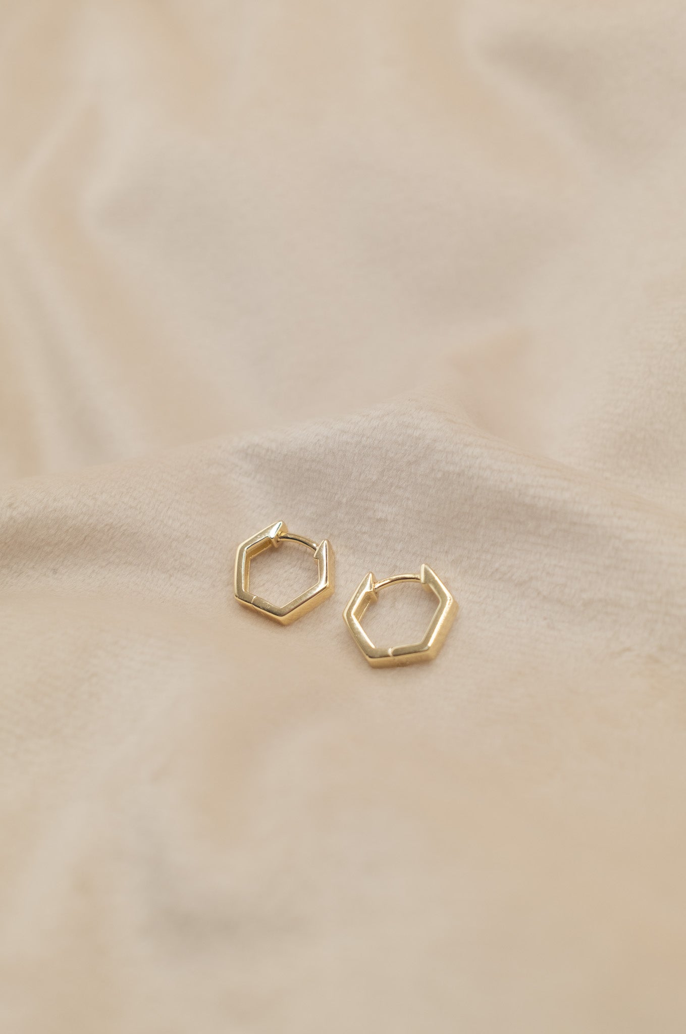 The Golden Hexa Earrings